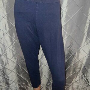 Time‎ and Tru Plus Size Navy Blue Leggings Sz. 2XL *ER1
